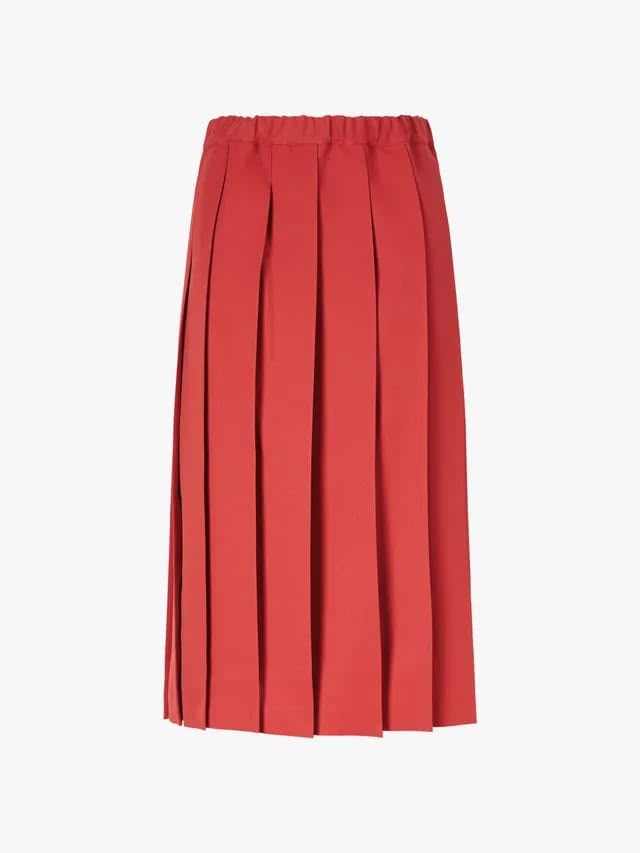 Pleated Skirt